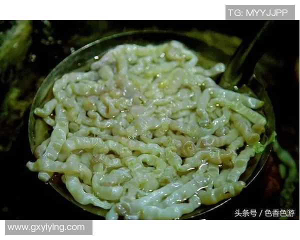 足球明星美食探秘盘点他们的独特饮食习惯与美味享受